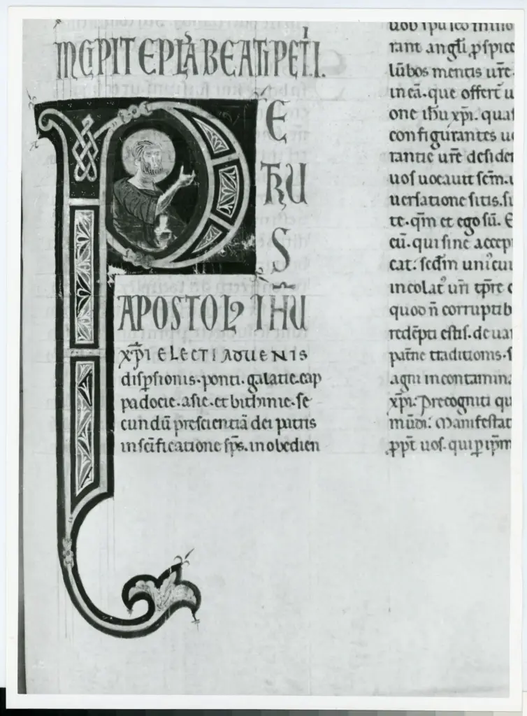 Marco di Berlinghiero , Iniziale P, Iniziale abitata, Motivi decorativi geometrici e vegetali, Intreccio, San Pietro