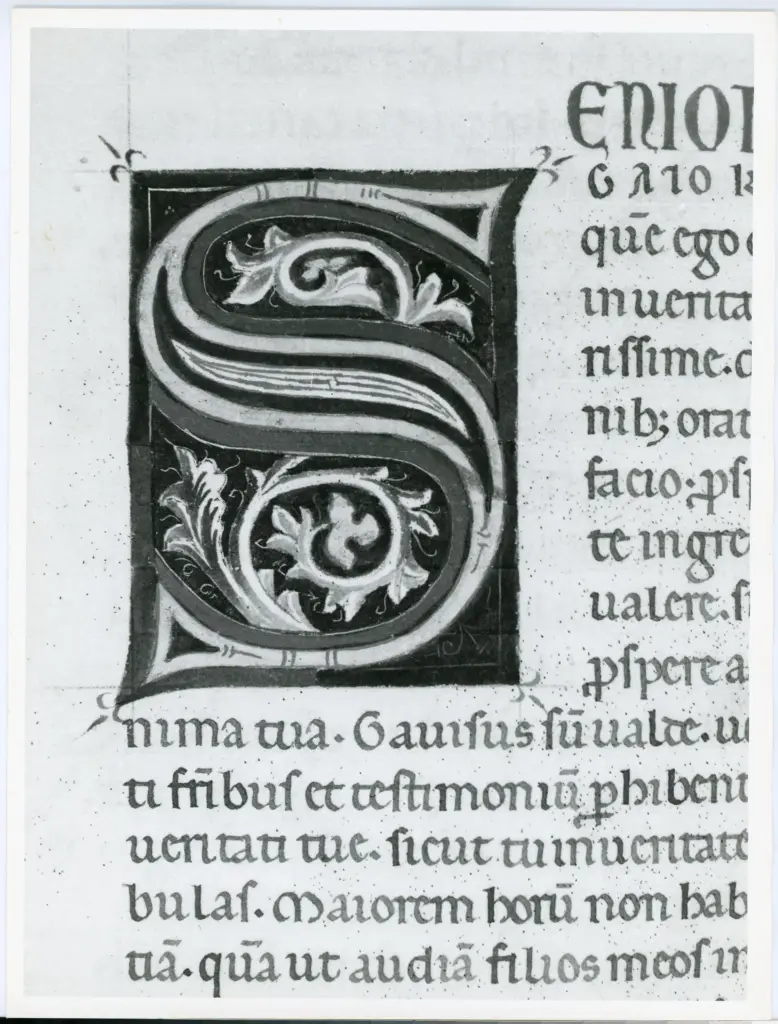 Universit&agrave; di Pisa. Dipartimento di Storia delle Arti , Marco di Berlinghiero - sec. XIII, met&agrave; - Lucca, Biblioteca Capitolare Feliniana, Ms. 1, f. 286v, particolare , fronte