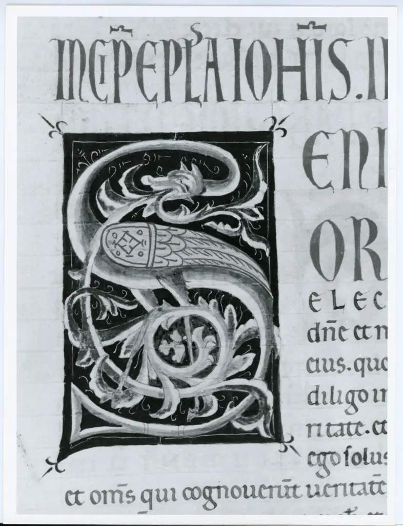 Universit&agrave; di Pisa. Dipartimento di Storia delle Arti , Marco di Berlinghiero - sec. XIII, met&agrave; - Lucca, Biblioteca Capitolare Feliniana, Ms. 1, f. 286r, particolare , fronte