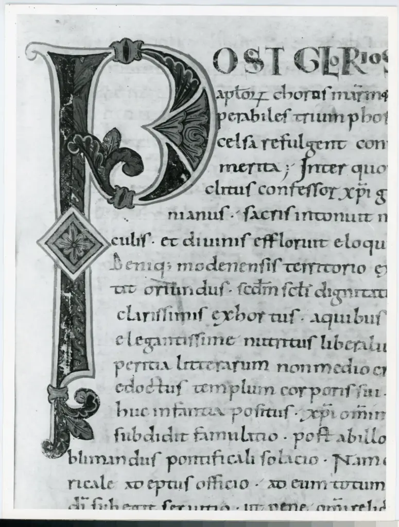 Anonimo italiano sec. XI , Iniziale P, Iniziale decorata, Motivi decorativi fitomorfi, Motivi decorativi a rosette, Intreccio