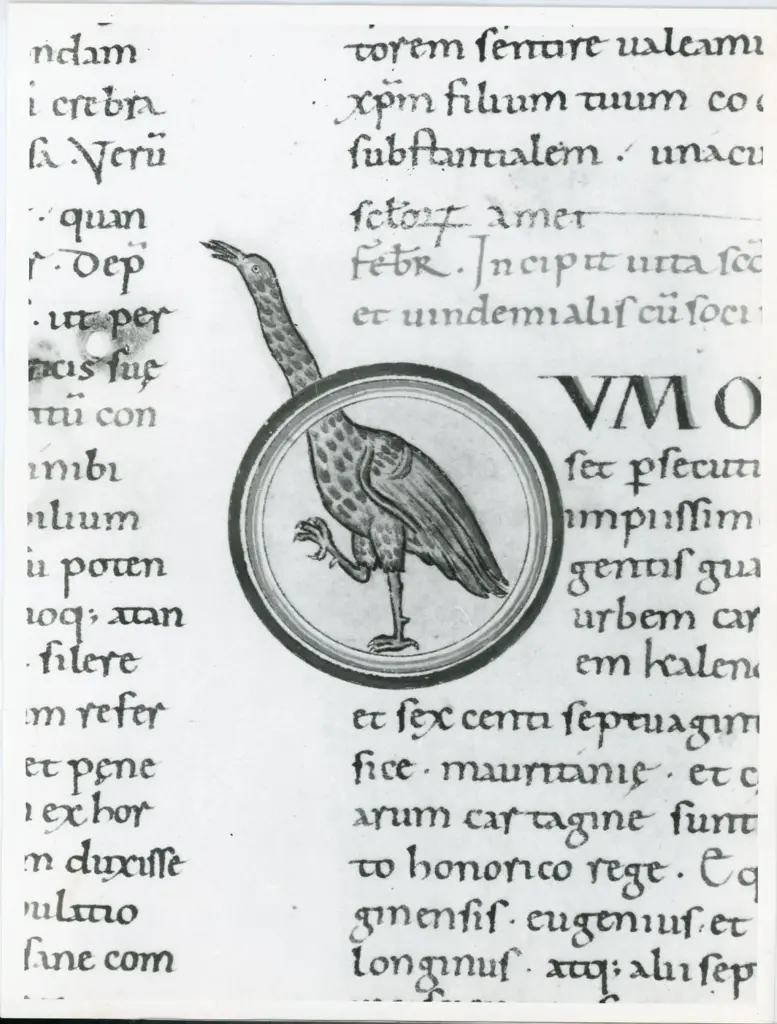 Universit&agrave; di Pisa. Dipartimento di Storia delle Arti , Anonimo italiano - sec. XI, ultimo quarto - Lucca, Biblioteca Capitolare Feliniana, Ms. Passionario C, f. 72v, particolare , fronte