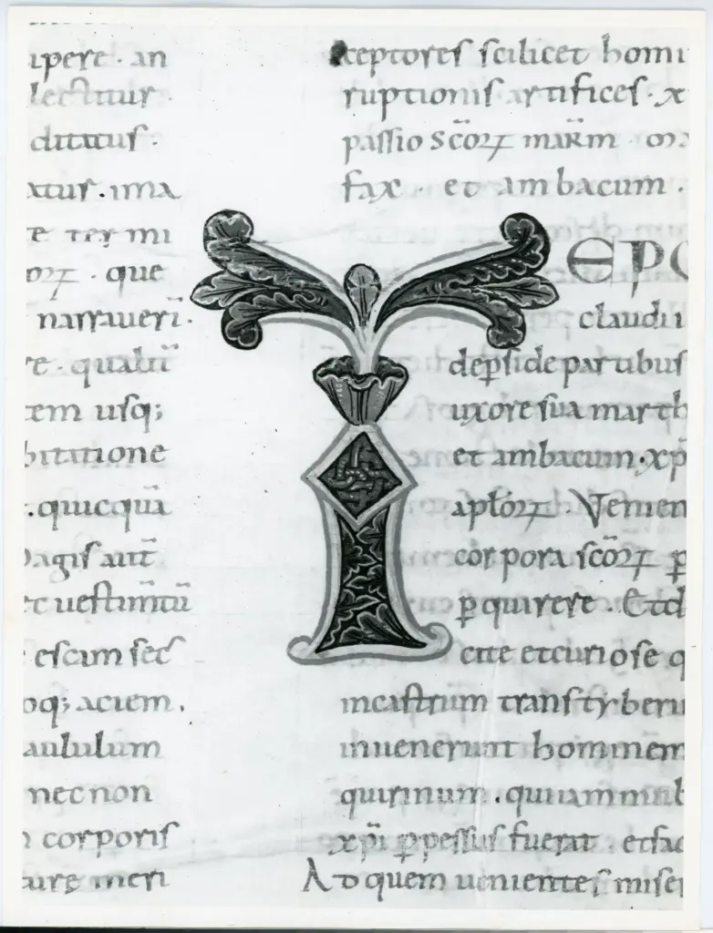 Universit&agrave; di Pisa. Dipartimento di Storia delle Arti , Anonimo italiano - sec. XI, ultimo quarto - Lucca, Biblioteca Capitolare Feliniana, Ms. Passionario C, f. 41v, particolare , fronte