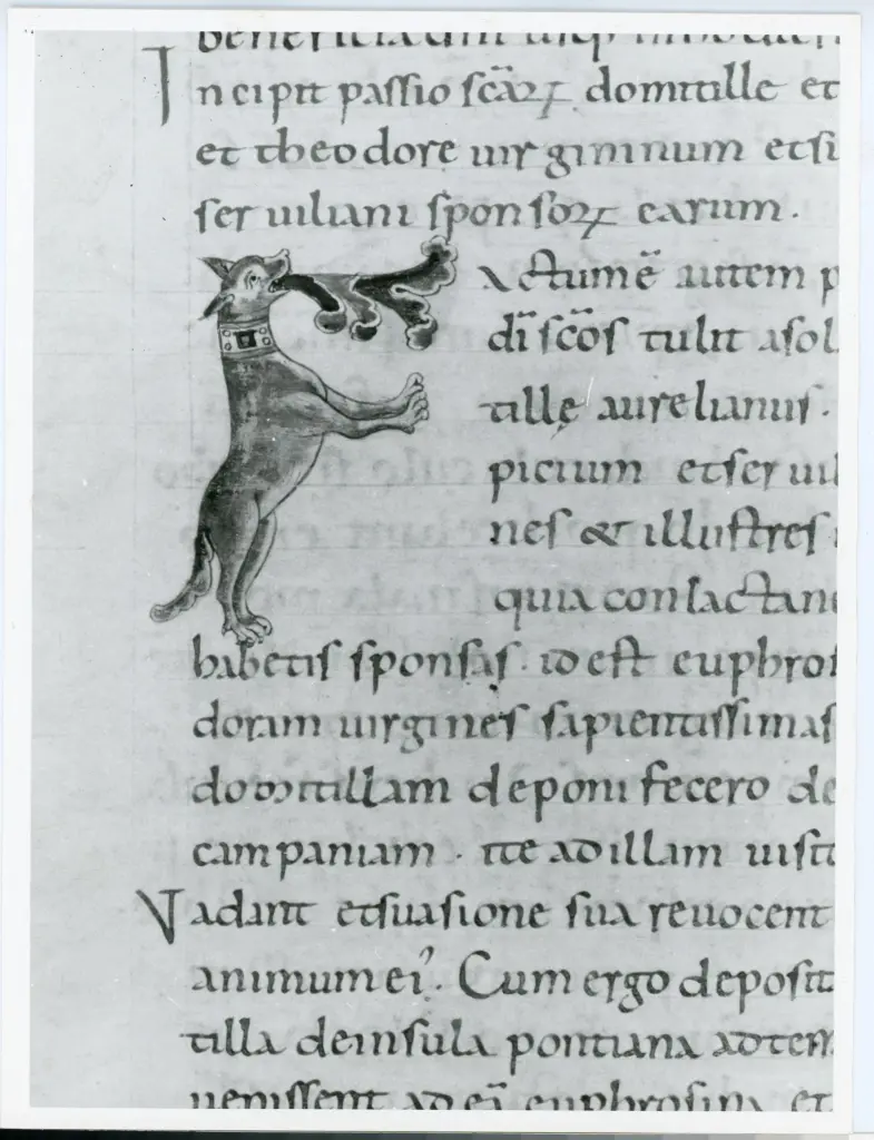 Università di Pisa. Dipartimento di Storia delle Arti , Anonimo italiano - sec. XI, ultimo quarto - Lucca, Biblioteca Capitolare Feliniana, Ms. Passionario C, f. 144v, particolare , fronte