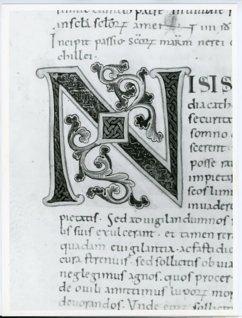 Anonimo italiano sec. XI , Iniziale N, Iniziale decorata, Motivo decorativo con losanga e motivi geometrici, Intreccio, Motivi decorativi vegetali