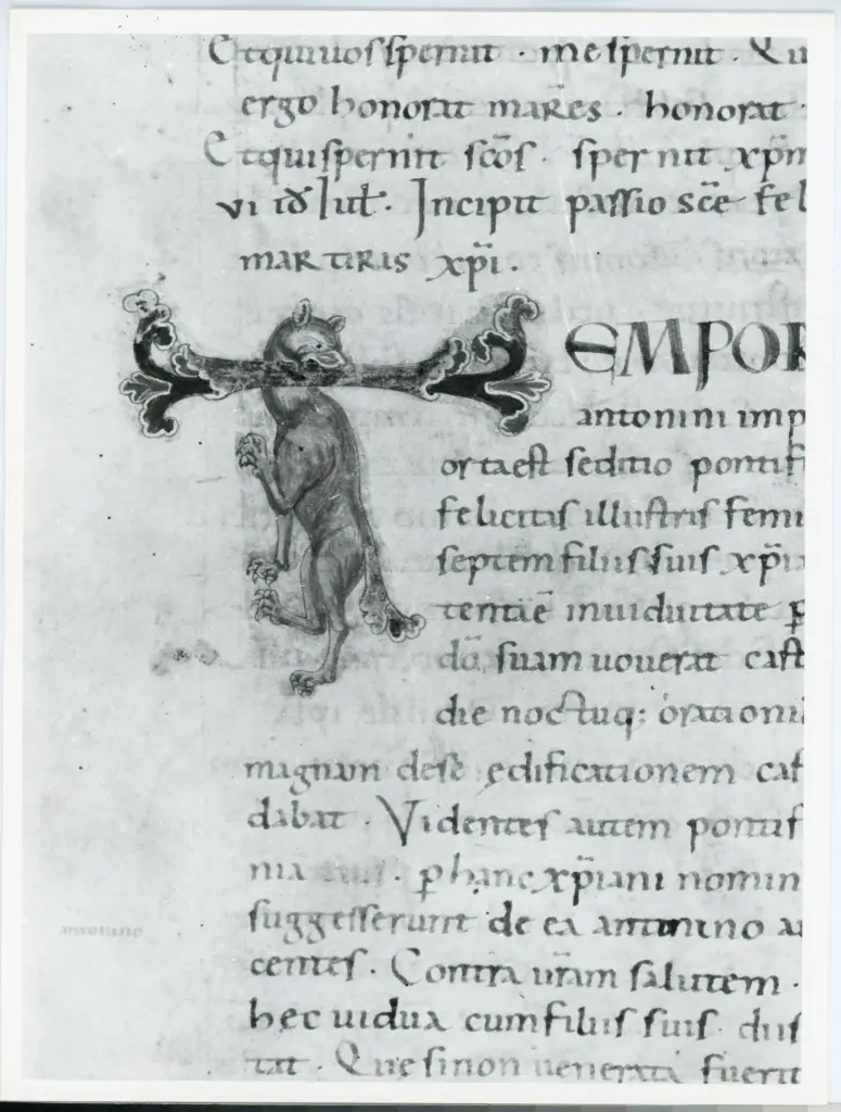 Università di Pisa. Dipartimento di Storia delle Arti , Anonimo italiano - sec. XI, ultimo quarto - Lucca, Biblioteca Capitolare Feliniana, Ms. Passionario C, f. 200v, particolare , fronte