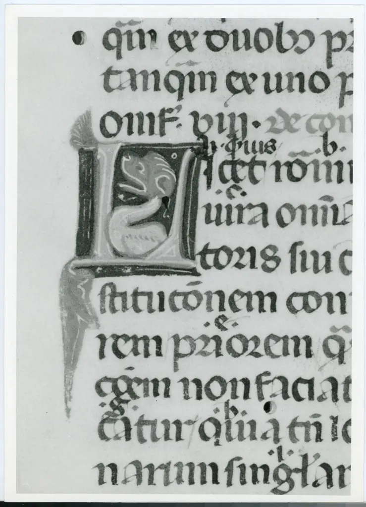 Universit&agrave; di Pisa. Dipartimento di Storia delle Arti , Anonimo italiano - sec. XIV, inizio - Lucca, Biblioteca Capitolare Feliniana, Ms. 143, f. 4r, particolare , fronte