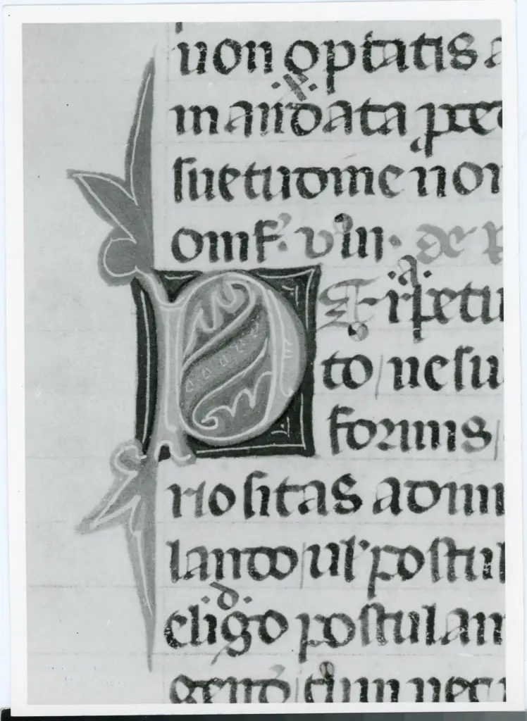 Università di Pisa. Dipartimento di Storia delle Arti , Anonimo italiano - sec. XIV, inizio - Lucca, Biblioteca Capitolare Feliniana, Ms. 143, f. 9r, particolare , fronte