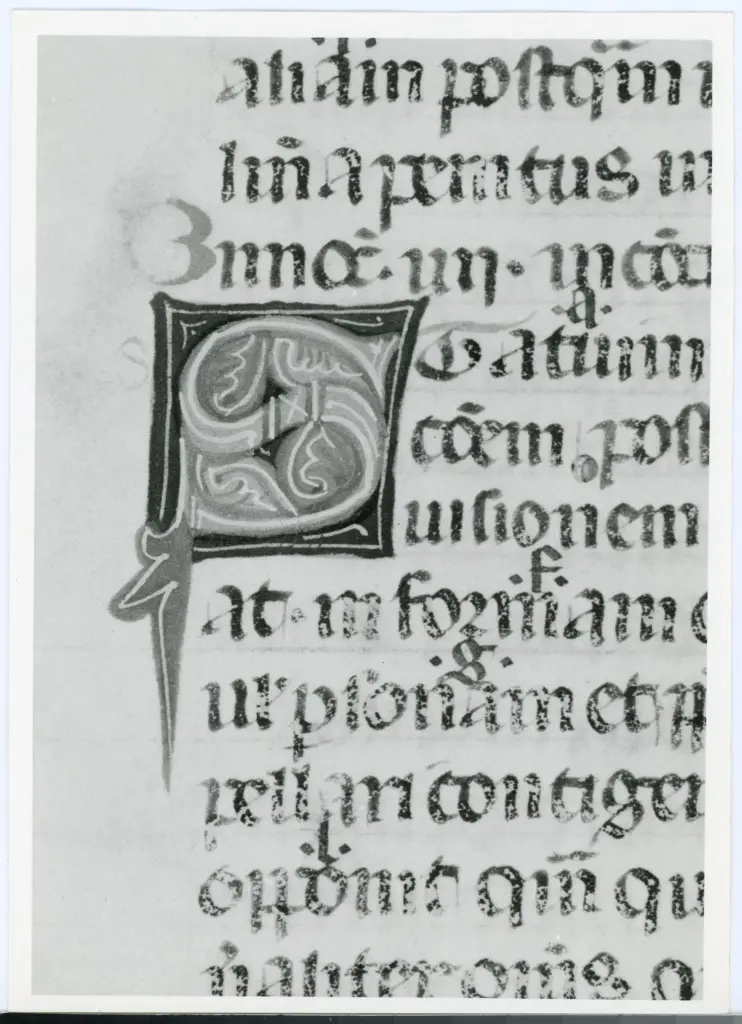 Universit&agrave; di Pisa. Dipartimento di Storia delle Arti , Anonimo italiano - sec. XIV, inizio - Lucca, Biblioteca Capitolare Feliniana, Ms. 143, f. 9r, particolare , fronte