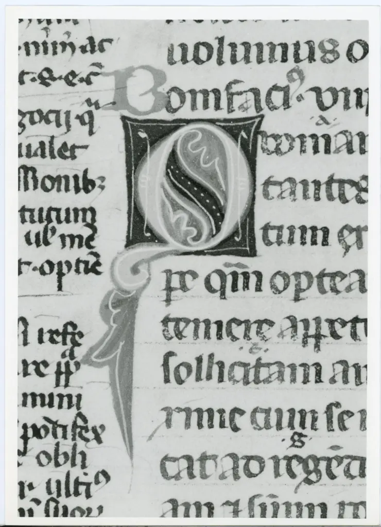 Universit&agrave; di Pisa. Dipartimento di Storia delle Arti , Anonimo italiano - sec. XIV, inizio - Lucca, Biblioteca Capitolare Feliniana, Ms. 143, f. 28r, particolare , fronte