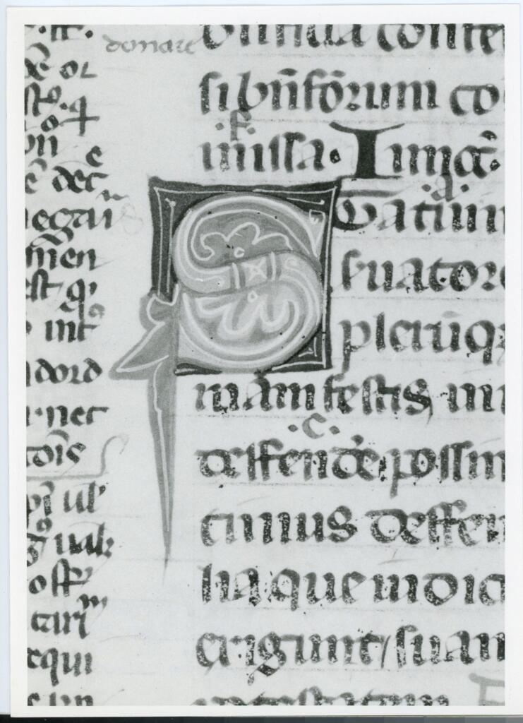 Anonimo italiano sec. XIV , Iniziale S, Iniziale decorata, Motivi decorativi fitomorfi