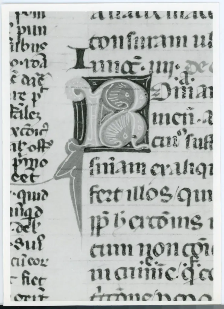 Università di Pisa. Dipartimento di Storia delle Arti , Anonimo italiano - sec. XIV, inizio - Lucca, Biblioteca Capitolare Feliniana, Ms. 143, f. 31r, particolare , fronte