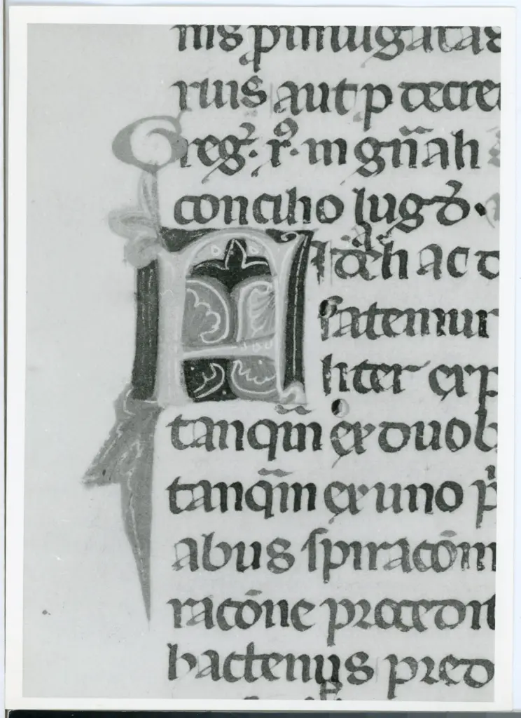 Universit&agrave; di Pisa. Dipartimento di Storia delle Arti , Anonimo italiano - sec. XIV, inizio - Lucca, Biblioteca Capitolare Feliniana, Ms. 143, f. 4r, particolare , fronte