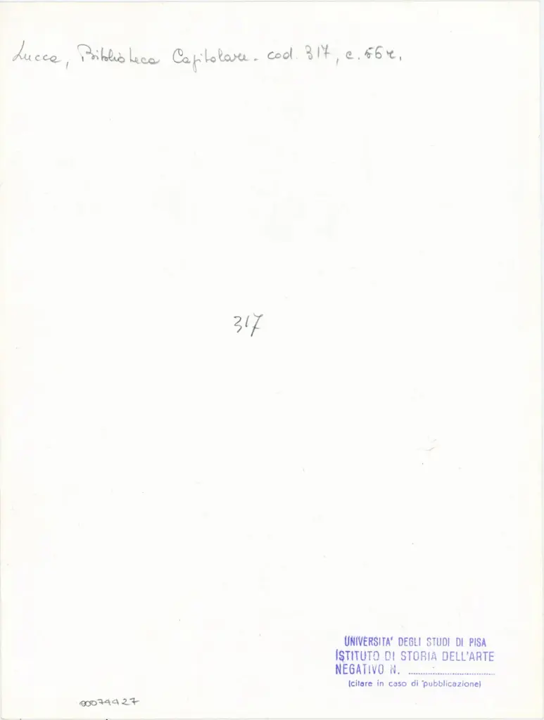 Universit&agrave; di Pisa. Dipartimento di Storia delle Arti , Anonimo italiano - sec. XIII/ XIV - Lucca, Biblioteca Capitolare Feliniana, Ms. 317, f. 56r, particolare , retro