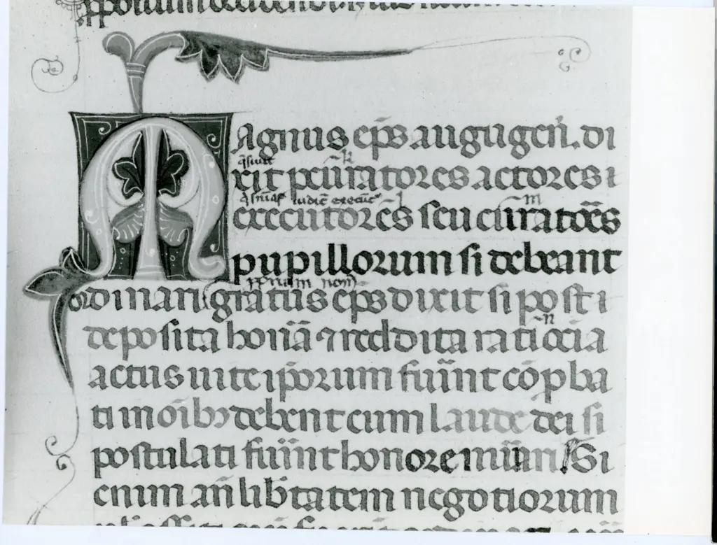 Universit&agrave; di Pisa. Dipartimento di Storia delle Arti , Anonimo italiano - sec. XIII/ XIV - Lucca, Biblioteca Capitolare Feliniana, Ms. 287, f. 35v, particolare , fronte
