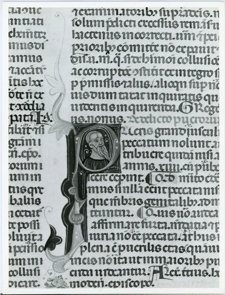 Anonimo italiano sec. XIII/XIV , Iniziale P, Iniziale abitata, Ritratto di uomo con la barba, Motivi decorativi fitomorfi