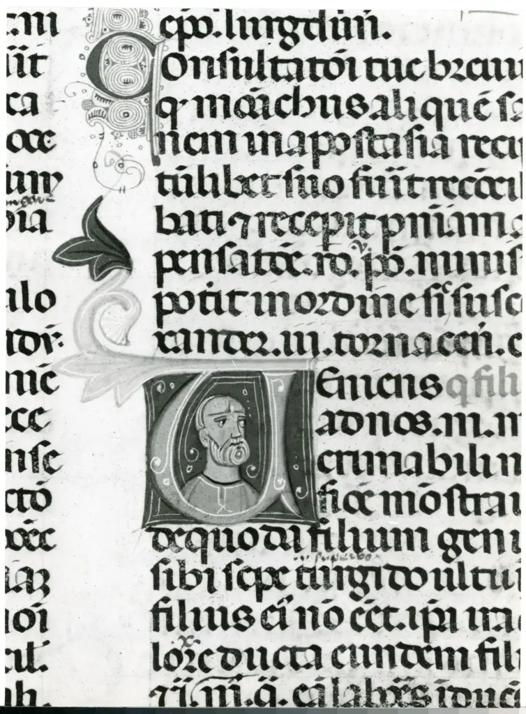 Universit&agrave; di Pisa. Dipartimento di Storia delle Arti , Anonimo italiano - sec. XIII/ XIV - Lucca, Biblioteca Capitolare Feliniana, Ms. 287, f. 186r, particolare , fronte