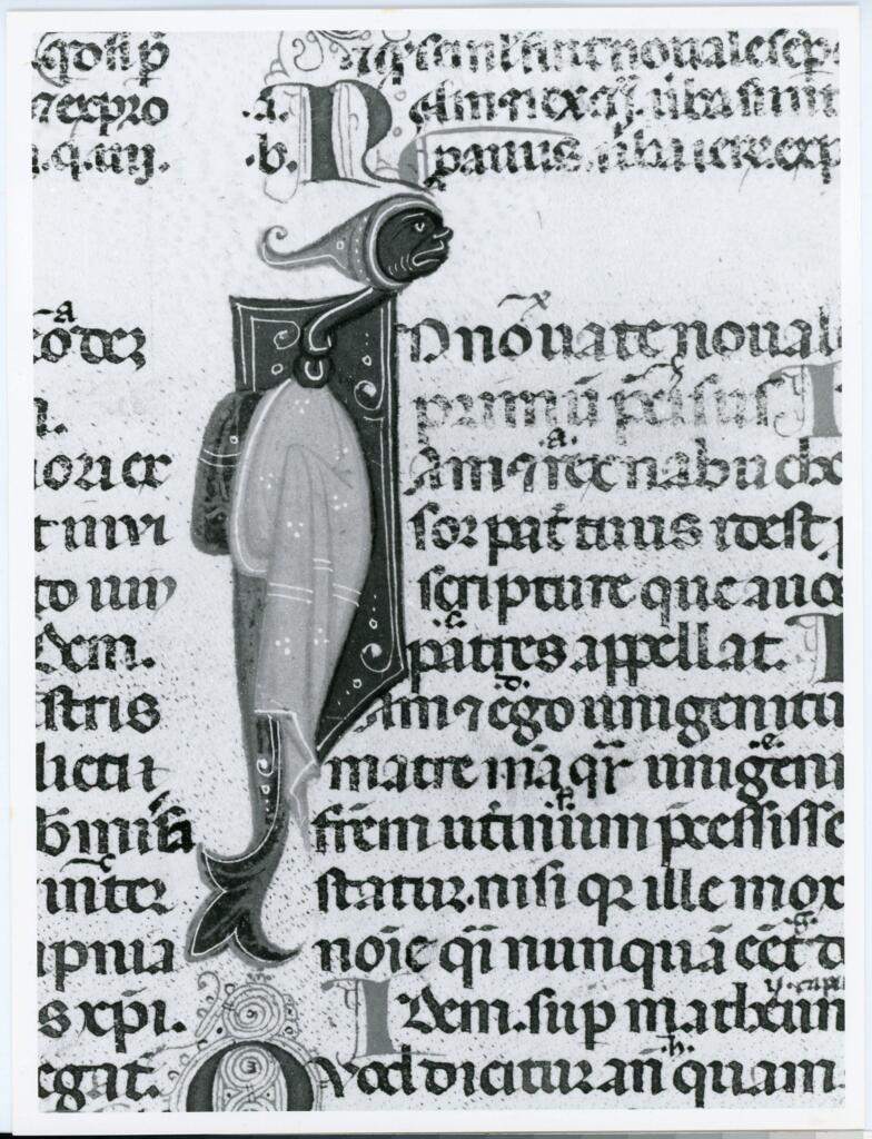 Università di Pisa. Dipartimento di Storia delle Arti , Anonimo italiano - sec. XIII/ XIV - Lucca, Biblioteca Capitolare Feliniana, Ms. 287, f. 214v, particolare , fronte
