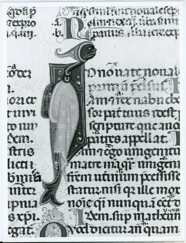 Universit&agrave; di Pisa. Dipartimento di Storia delle Arti , Anonimo italiano - sec. XIII/ XIV - Lucca, Biblioteca Capitolare Feliniana, Ms. 287, f. 214v, particolare , fronte