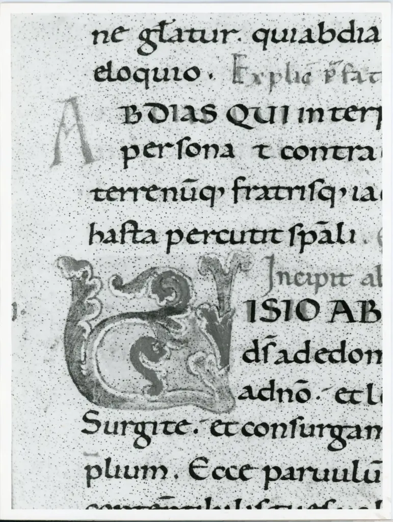 Università di Pisa. Dipartimento di Storia delle Arti , Anonimo italiano - sec. XI, fine - Lucca, Biblioteca Capitolare Feliniana, Ms. 2, f. 35r, particolare , fronte