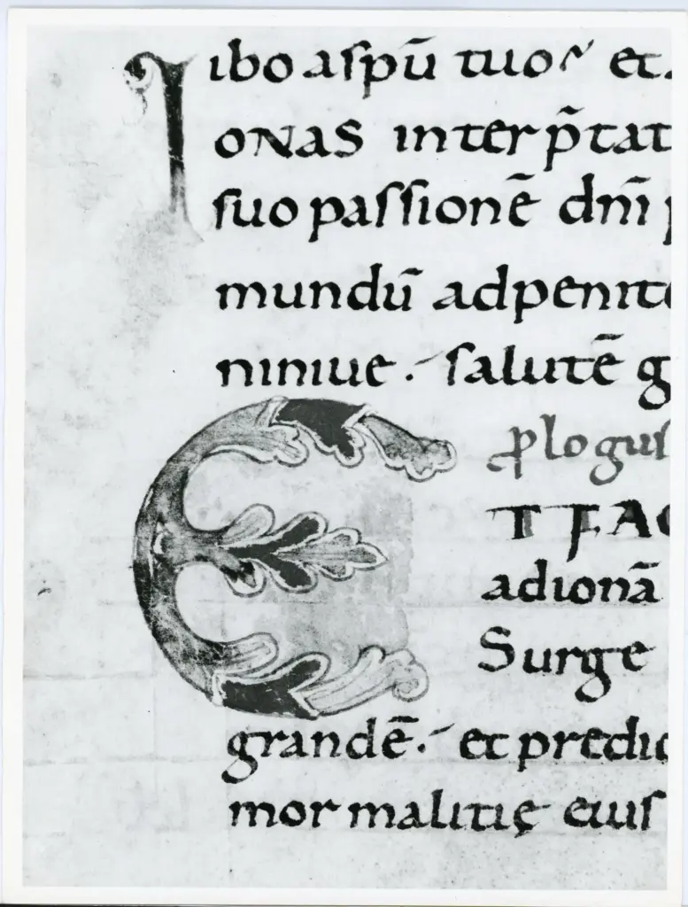 Università di Pisa. Dipartimento di Storia delle Arti , Anonimo italiano - sec. XI, fine - Lucca, Biblioteca Capitolare Feliniana, Ms. 2, f. 35v, particolare , fronte