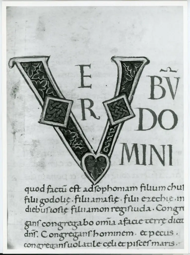 Anonimo italiano sec. XI , Iniziale V, Iniziale decorata, Motivo decorativo con losanga e motivi geometrici, Intreccio, Motivi decorativi fitomorfi