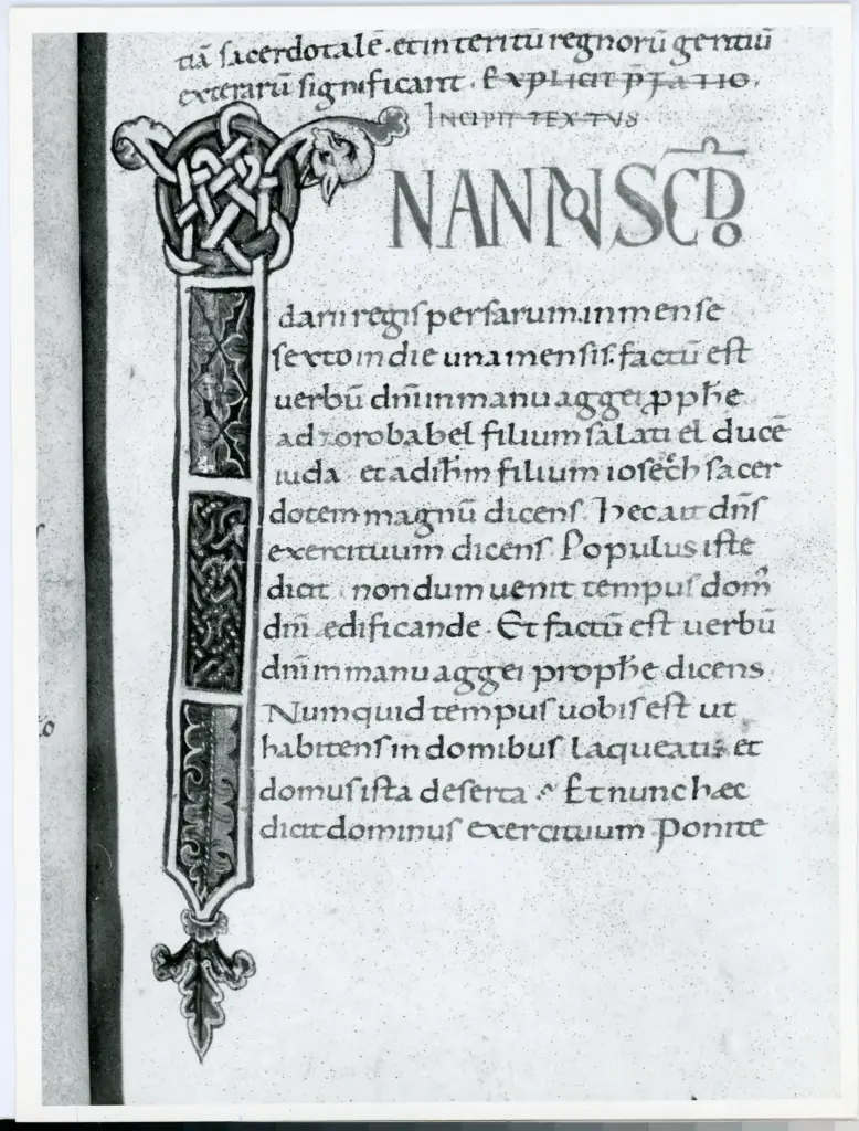 Università di Pisa. Dipartimento di Storia delle Arti , Anonimo italiano - sec. XI, fine - Lucca, Biblioteca Capitolare Feliniana, Ms. 2, f. 41r, particolare , fronte