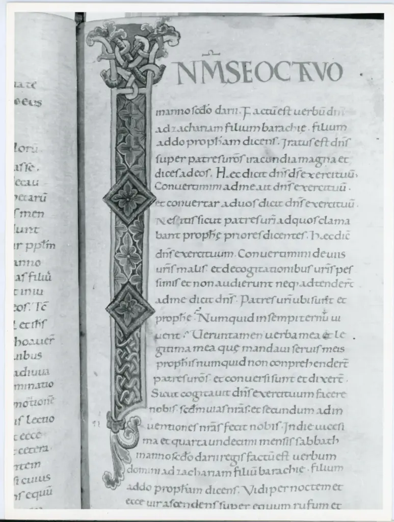 Anonimo italiano sec. XI , Iniziale I, Iniziale decorata, Motivo decorativo con losanga e motivi geometrici, Intreccio, Motivi decorativi fitomorfi