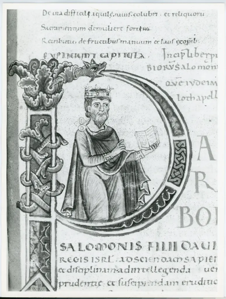 Anonimo italiano sec. XI , Iniziale P, Iniziale abitata, Salomone, Motivo decorativo a rombi con rosette, Motivi decorativi vegetali e zoomorfi, Intreccio
