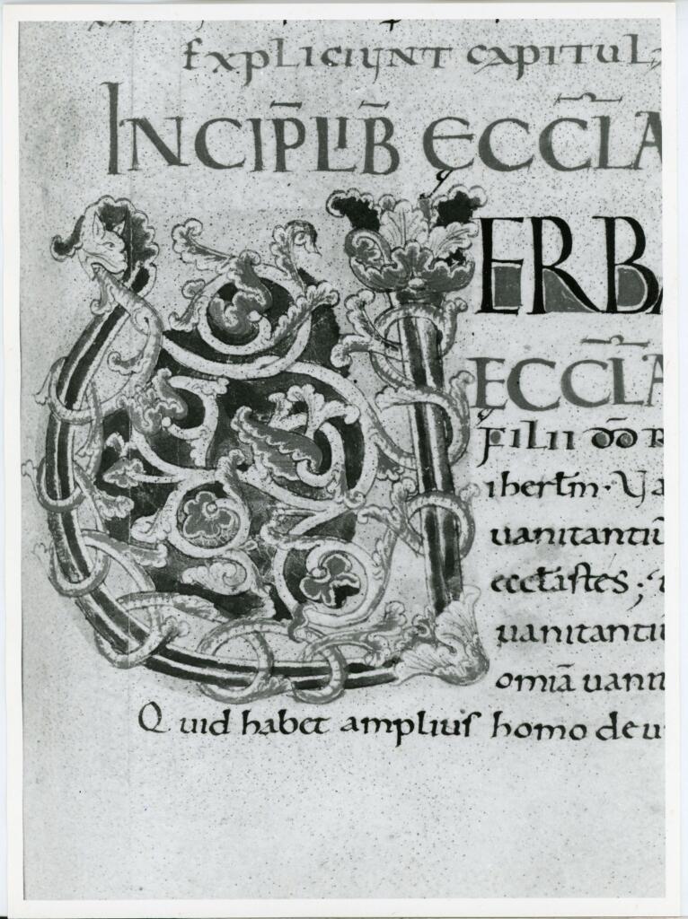 Anonimo italiano sec. XI , Iniziale V, Iniziale decorata, Motivi decorativi vegetali e zoomorfi