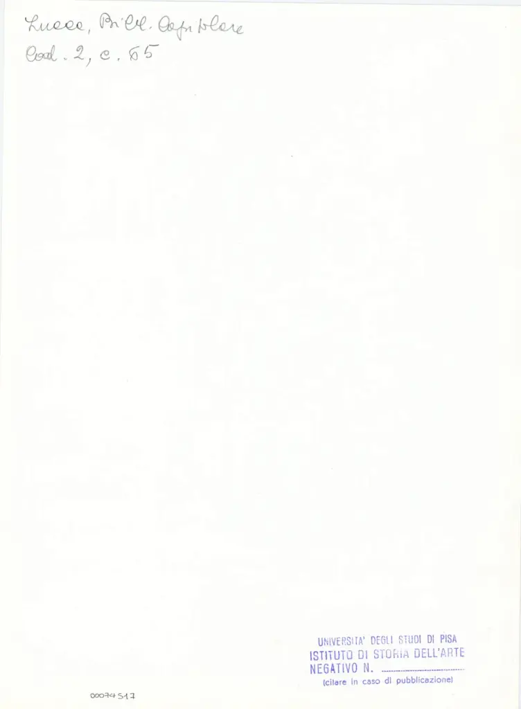 Universit&agrave; di Pisa. Dipartimento di Storia delle Arti , Anonimo italiano - sec. XI, fine - Lucca, Biblioteca Capitolare Feliniana, Ms. 2, f. 65r, particolare , retro