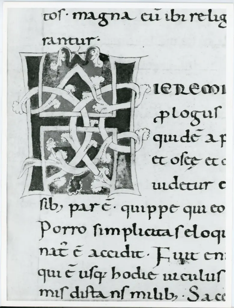 Universit&agrave; di Pisa. Dipartimento di Storia delle Arti , Anonimo italiano - sec. XI, fine - Lucca, Biblioteca Capitolare Feliniana, Ms. 2, f. 112r, particolare , fronte