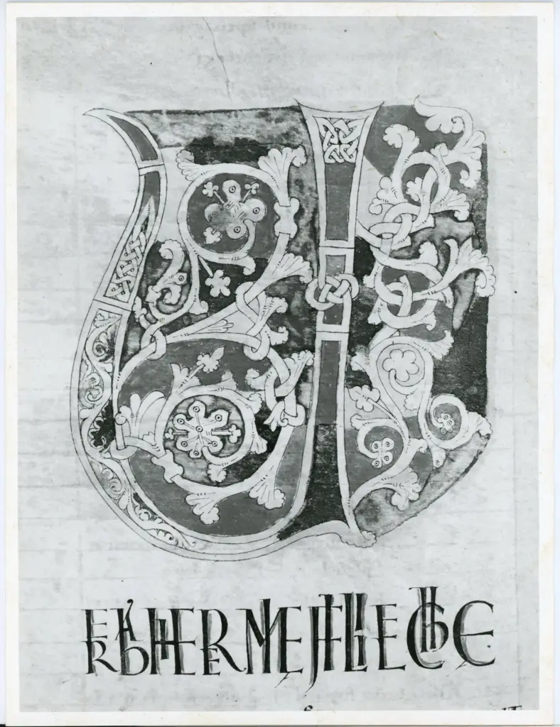 Universit&agrave; di Pisa. Dipartimento di Storia delle Arti , Anonimo italiano - sec. XI, fine - Lucca, Biblioteca Capitolare Feliniana, Ms. 2, f. 113v, particolare , fronte