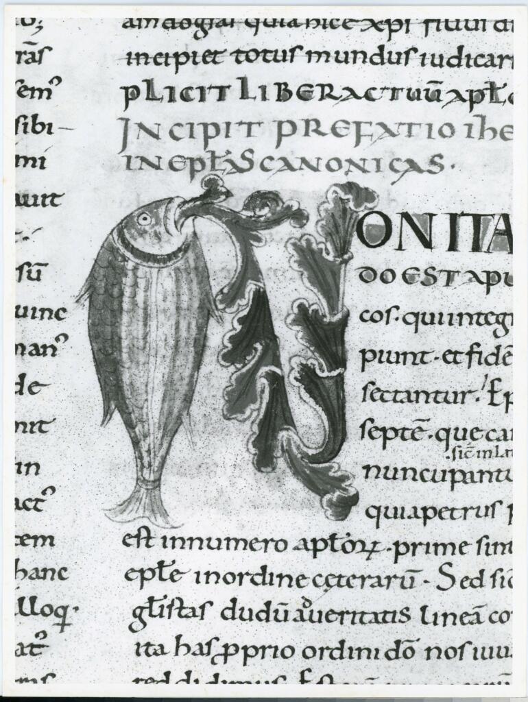 Anonimo italiano sec. XI , Iniziale N, Iniziale figurata, Motivi decorativi vegetali e zoomorfi, Pesce