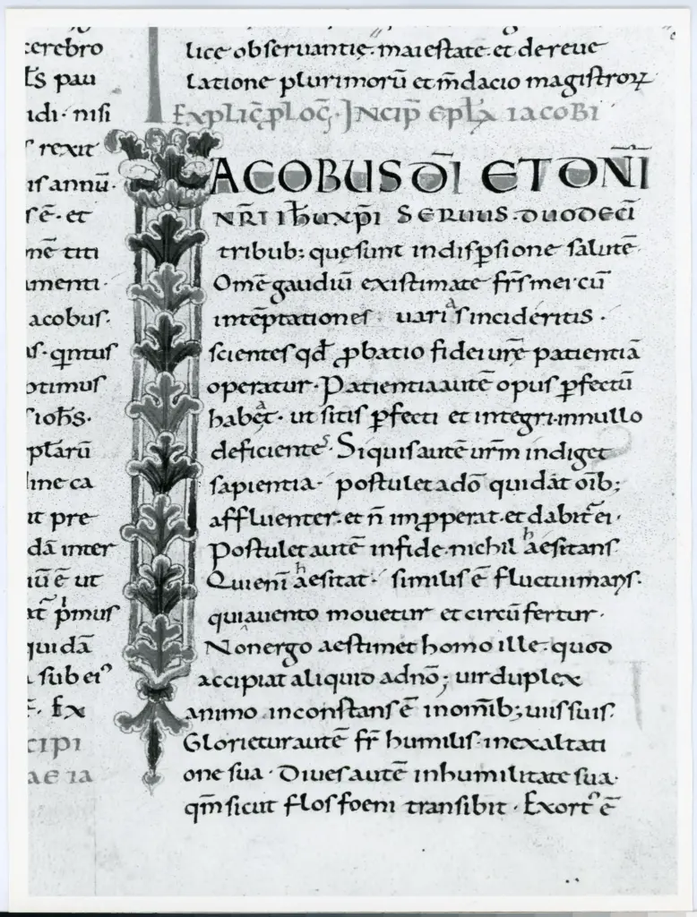 Universit&agrave; di Pisa. Dipartimento di Storia delle Arti , Anonimo italiano - sec. XI, fine - Lucca, Biblioteca Capitolare Feliniana, Ms. 2, f. 154r, particolare , fronte