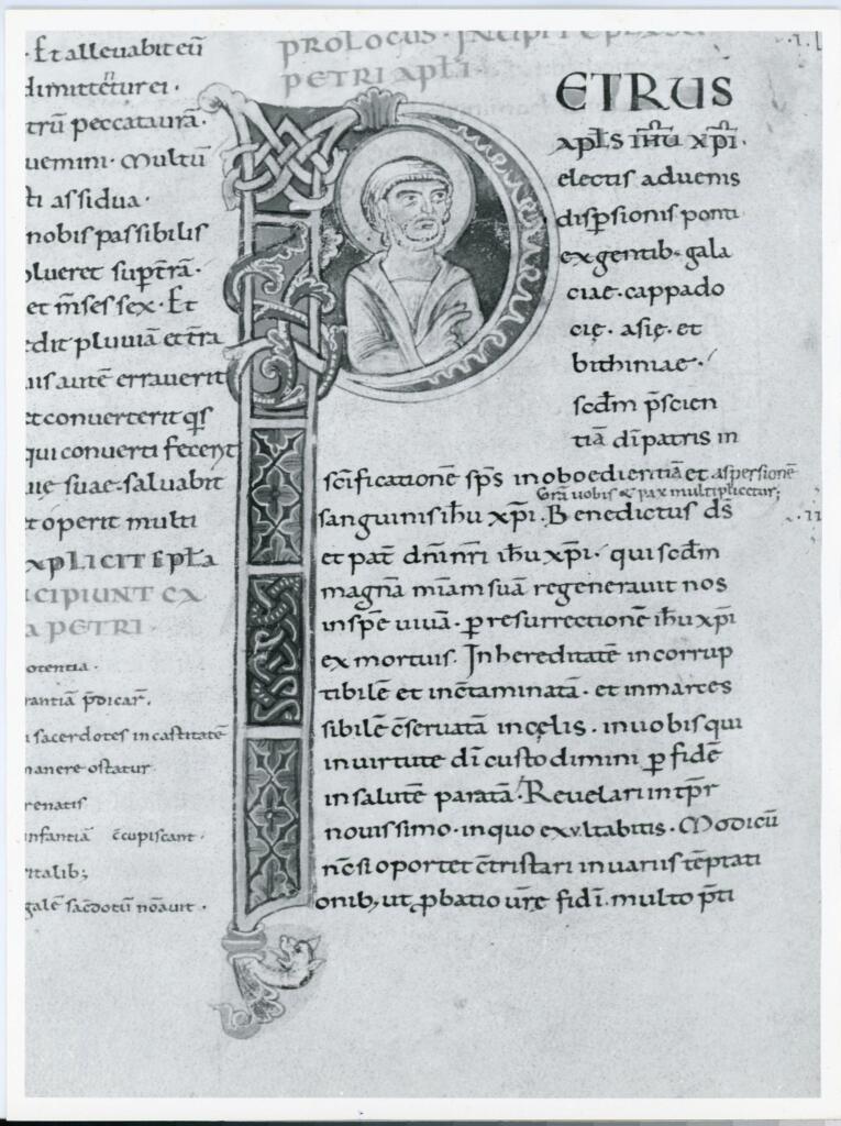 Anonimo italiano sec. XI , Iniziale P, Iniziale abitata, San Pietro, Motivi decorativi vegetali e zoomorfi, Intreccio