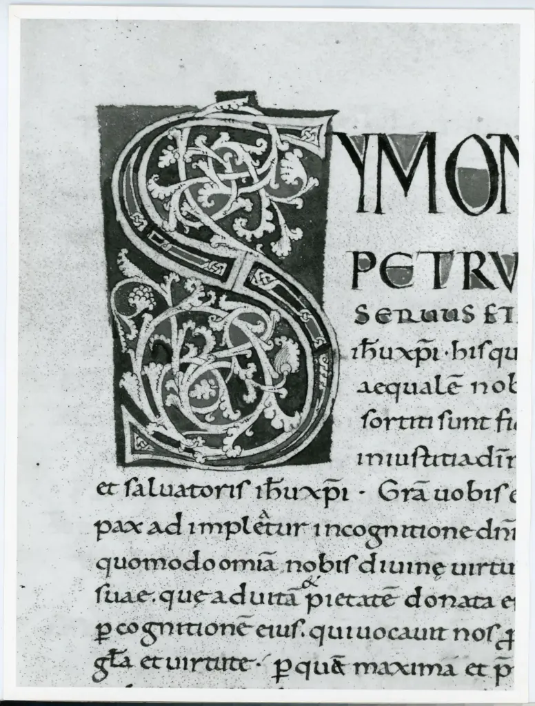 Università di Pisa. Dipartimento di Storia delle Arti , Anonimo italiano - sec. XI, fine - Lucca, Biblioteca Capitolare Feliniana, Ms. 2, f. 157v, particolare , fronte