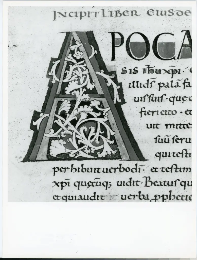 Università di Pisa. Dipartimento di Storia delle Arti , Anonimo italiano - sec. XI, fine - Lucca, Biblioteca Capitolare Feliniana, Ms. 2, f. 161v, particolare , fronte