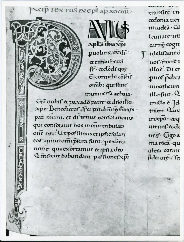 Università di Pisa. Dipartimento di Storia delle Arti , Anonimo italiano - sec. XI, fine - Lucca, Biblioteca Capitolare Feliniana, Ms. 2, f. 181r, particolare , fronte