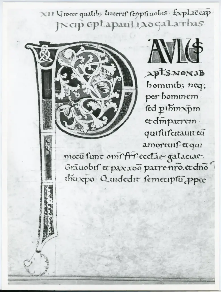 Università di Pisa. Dipartimento di Storia delle Arti , Anonimo italiano - sec. XI, fine - Lucca, Biblioteca Capitolare Feliniana, Ms. 2, f. 184v, particolare , fronte