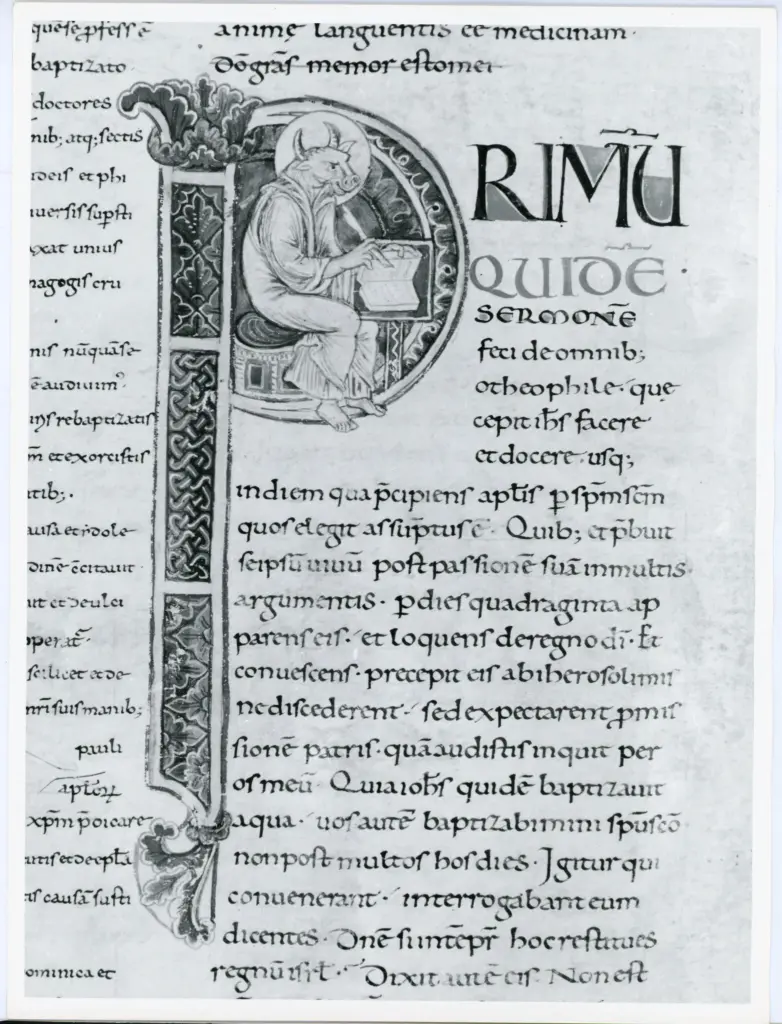 Anonimo italiano sec. XI , Iniziale P, Iniziale abitata, San Luca Evangelista, Simbolo di san Luca Evangelista: bue, Motivi decorativi geometrici e vegetali, Intreccio