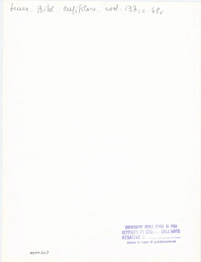 Universit&agrave; di Pisa. Dipartimento di Storia delle Arti , Anonimo italiano - sec. XIII, ultimo quarto - Lucca, Biblioteca Capitolare Feliniana, Ms. 137, f. 48v, particolare , retro