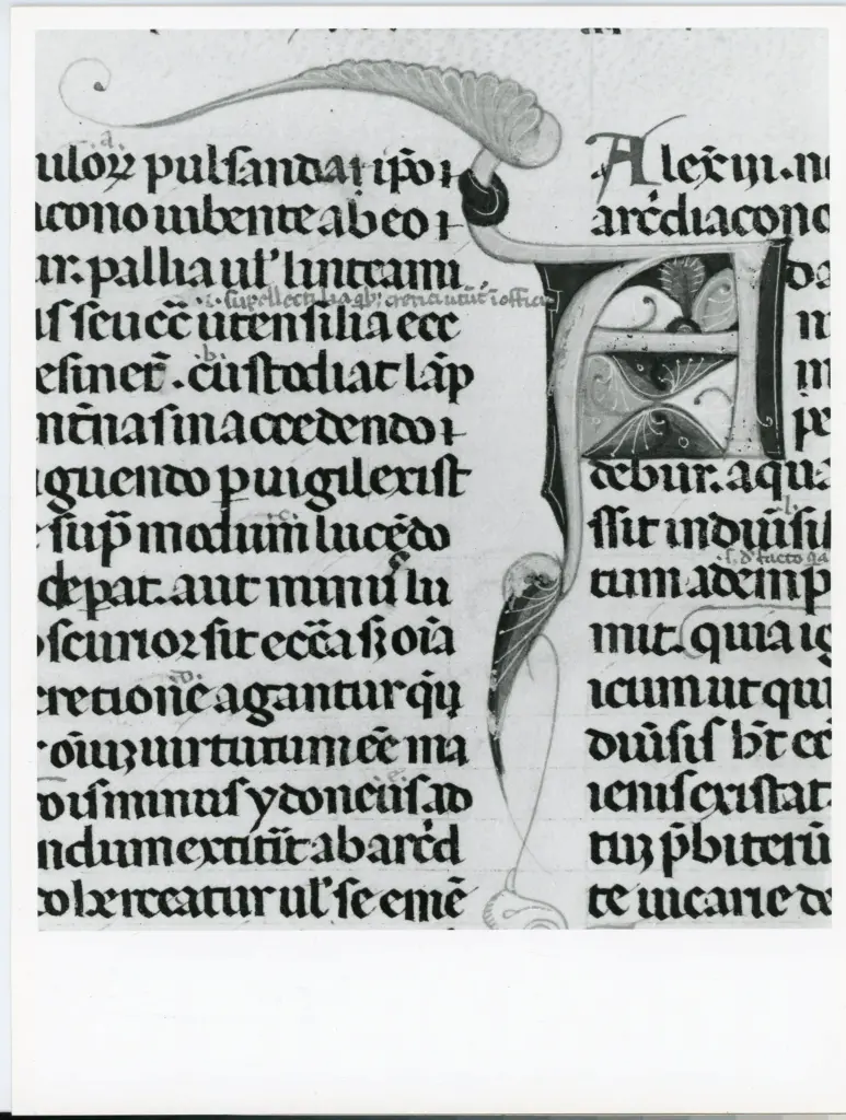 Università di Pisa. Dipartimento di Storia delle Arti , Anonimo italiano - sec. XIII, ultimo quarto - Lucca, Biblioteca Capitolare Feliniana, Ms. 137, f. 49r, particolare , fronte