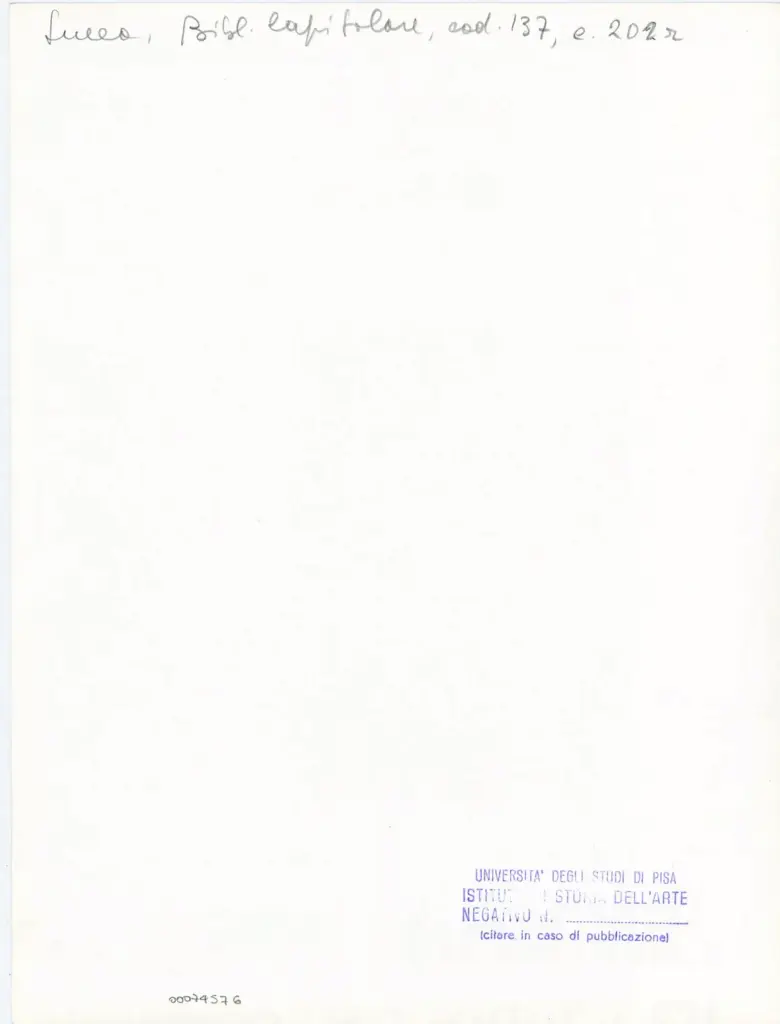 Universit&agrave; di Pisa. Dipartimento di Storia delle Arti , Anonimo italiano - sec. XIII, ultimo quarto - Lucca, Biblioteca Capitolare Feliniana, Ms. 137, f. 202r, intero , retro