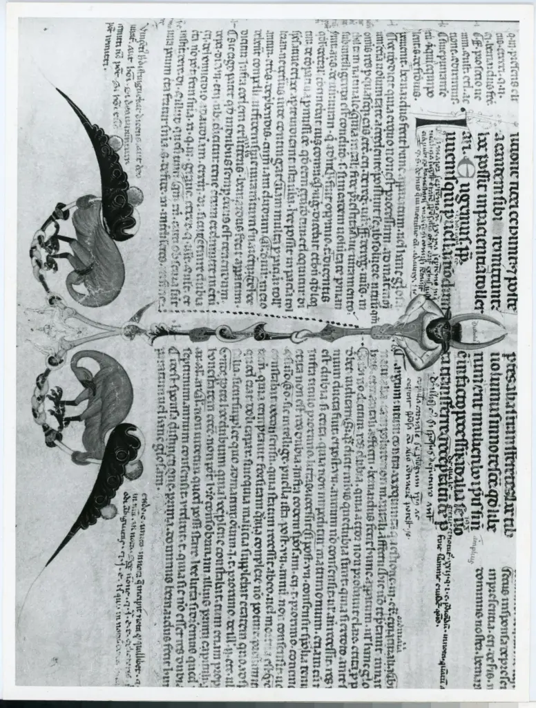 Universit&agrave; di Pisa. Dipartimento di Storia delle Arti , Anonimo italiano - sec. XIII, ultimo quarto - Lucca, Biblioteca Capitolare Feliniana, Ms. 137, f. 202r, particolare , fronte