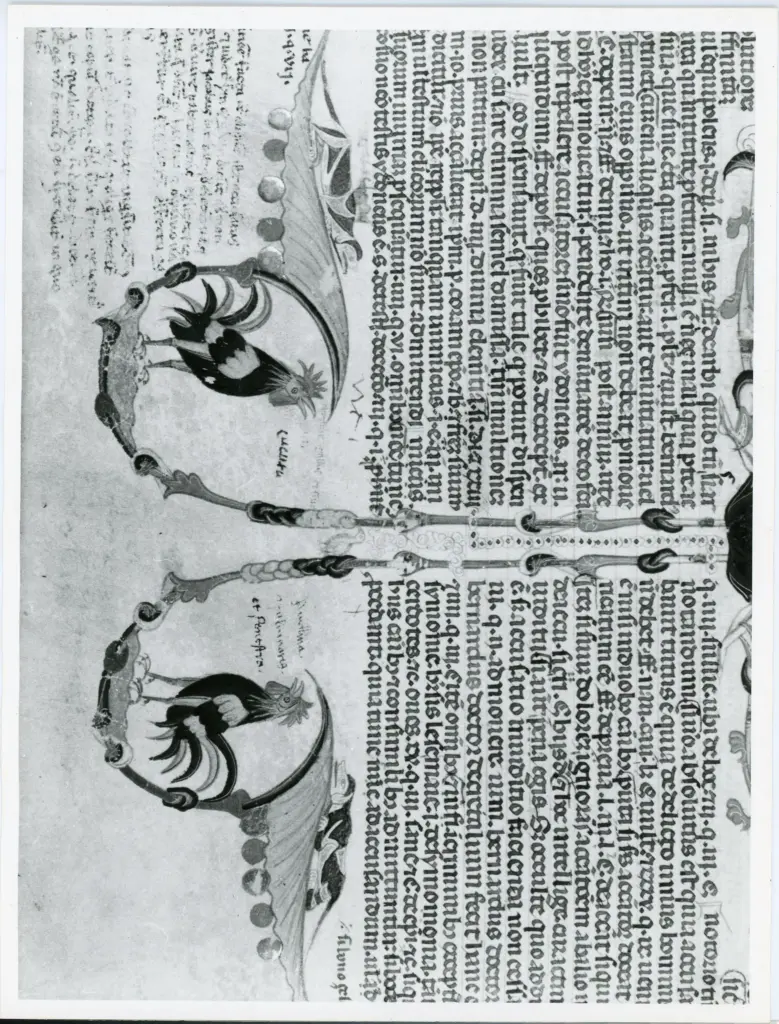 Universit&agrave; di Pisa. Dipartimento di Storia delle Arti , Anonimo italiano - sec. XIII, ultimo quarto - Lucca, Biblioteca Capitolare Feliniana, Ms. 137, f. 223v, particolare , fronte