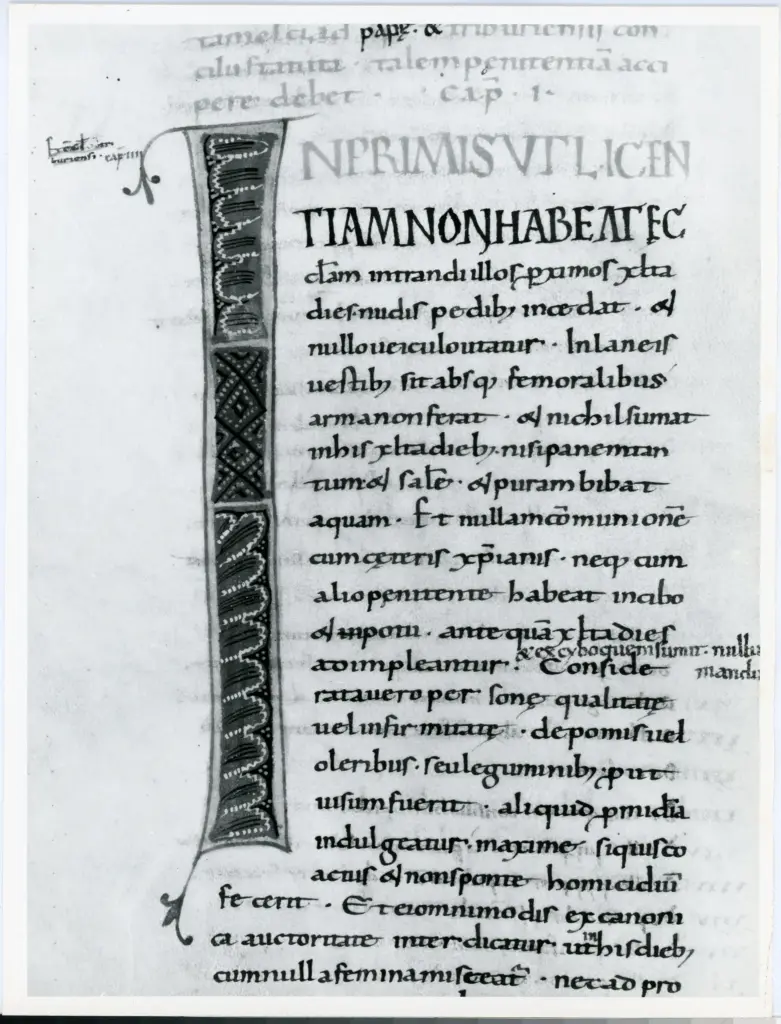 Universit&agrave; di Pisa. Dipartimento di Storia delle Arti , Anonimo italiano - sec. XI, terzo quarto - Lucca, Biblioteca Capitolare Feliniana, Ms. 124, f. 77v, particolare , fronte