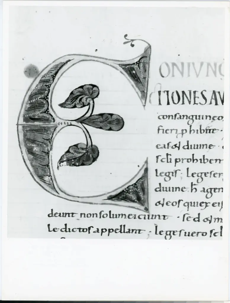 Universit&agrave; di Pisa. Dipartimento di Storia delle Arti , Anonimo italiano - sec. XI, terzo quarto - Lucca, Biblioteca Capitolare Feliniana, Ms. 124, f. 83r, particolare , fronte