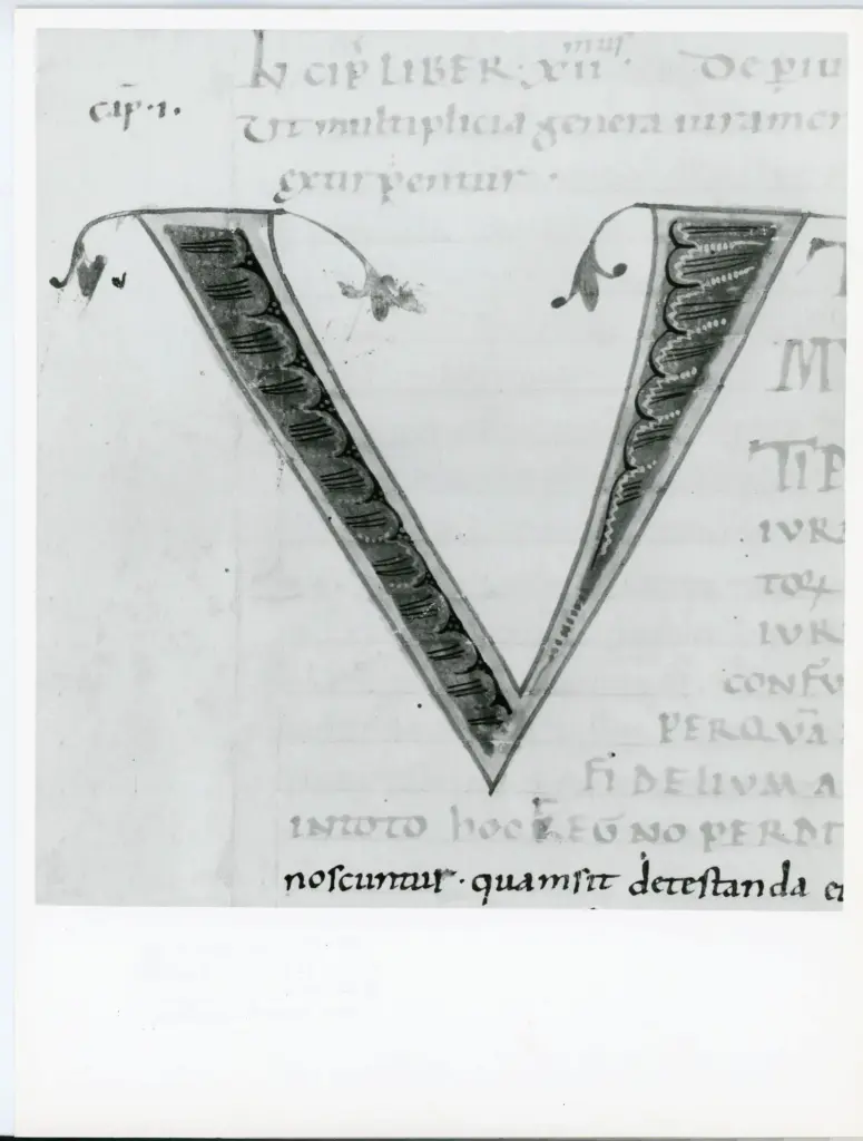Universit&agrave; di Pisa. Dipartimento di Storia delle Arti , Anonimo italiano - sec. XI, terzo quarto - Lucca, Biblioteca Capitolare Feliniana, Ms. 124, f. 111, particolare , fronte