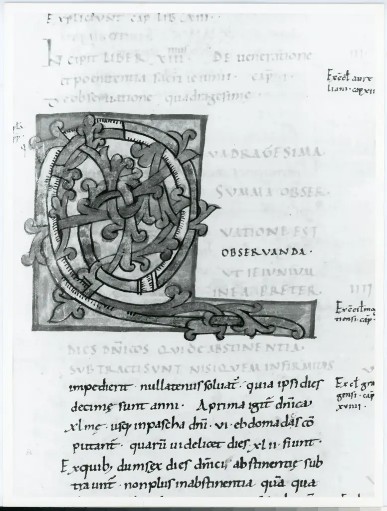 Anonimo italiano sec. XI , Iniziale Q, Iniziale decorata, Motivi decorativi fitomorfi