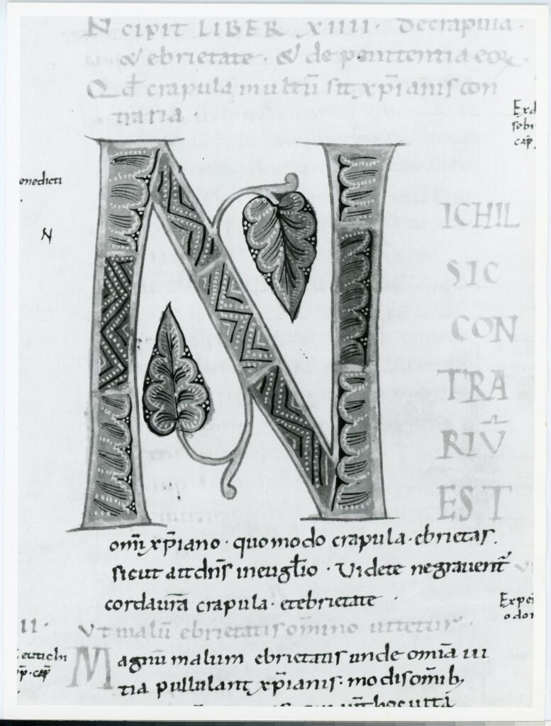Anonimo italiano sec. XI , Iniziale N, Iniziale decorata, Motivi decorativi geometrici e vegetali